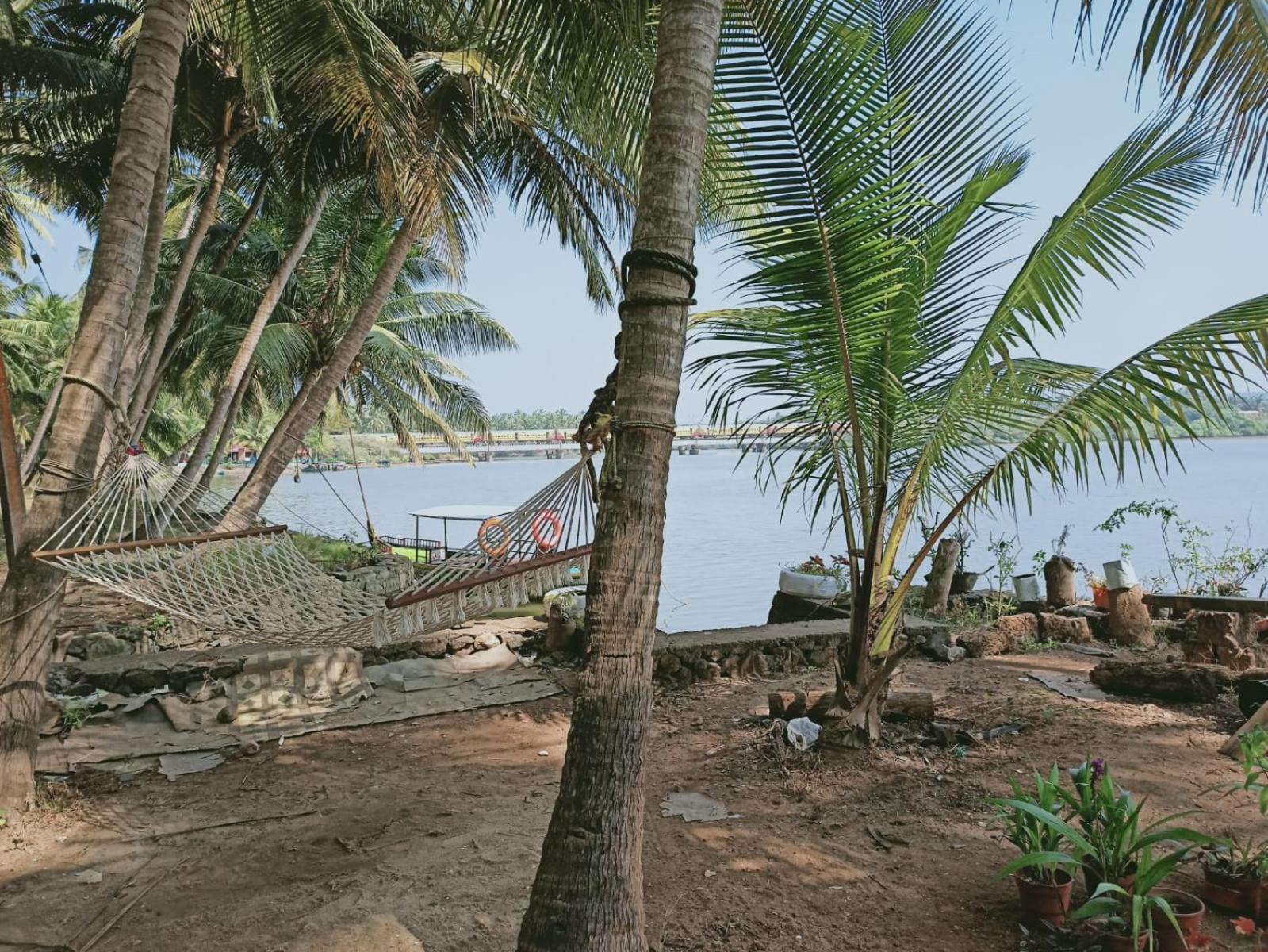 Green Island Homestay Riverside Kozhikode Ngoại thất bức ảnh